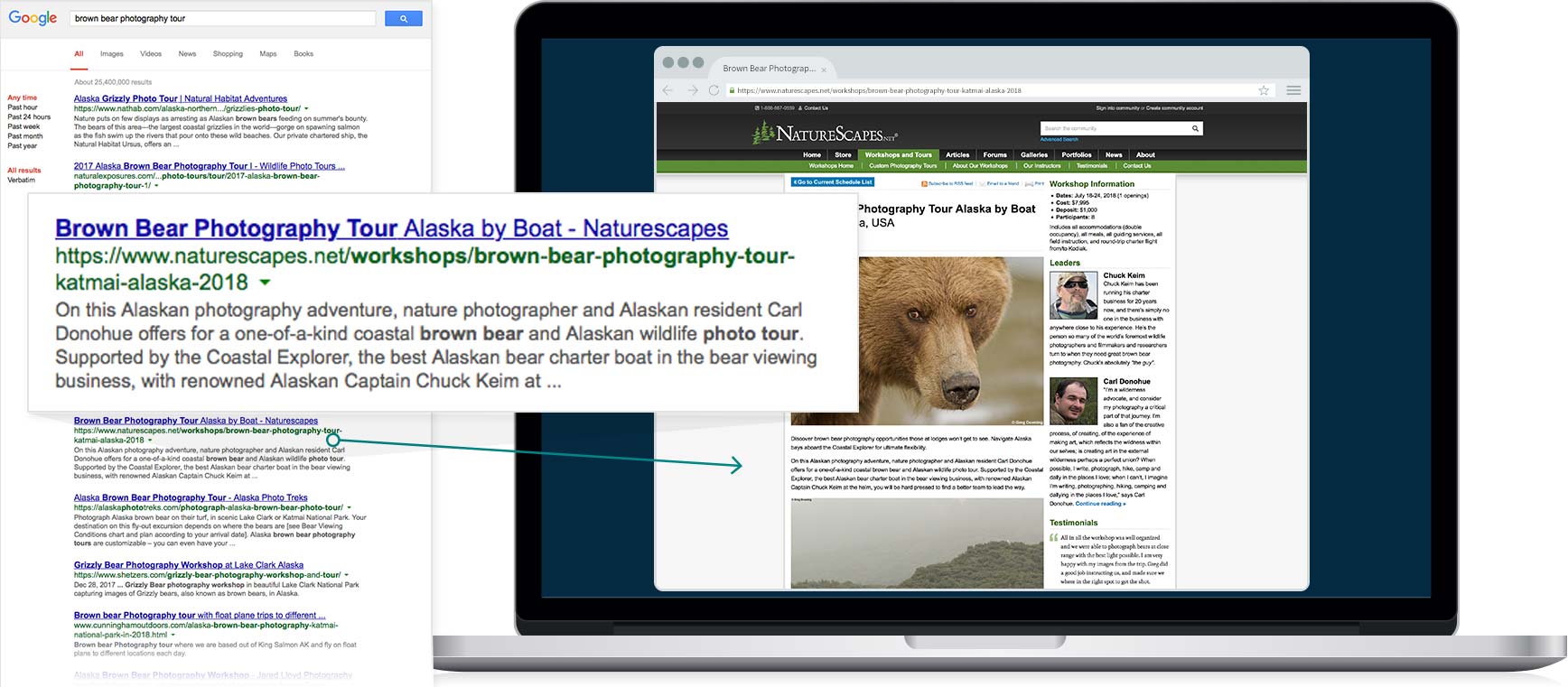 SEO - Travel Bears