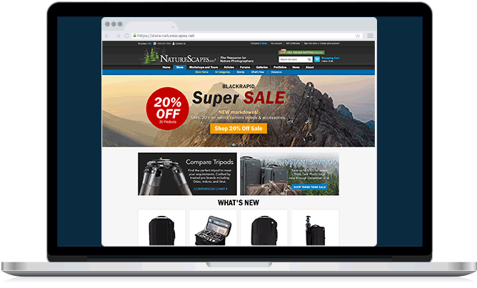 NatureScapes Store Analysis